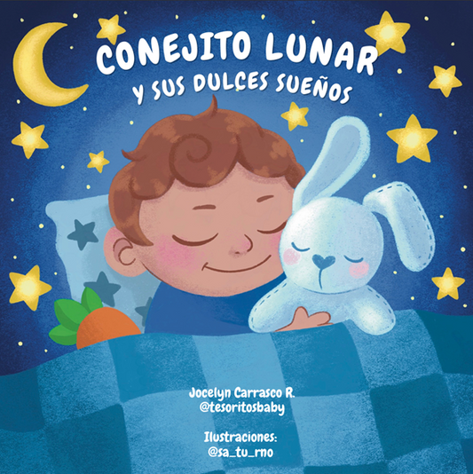 SISTEMA DULCES SUEÑOS